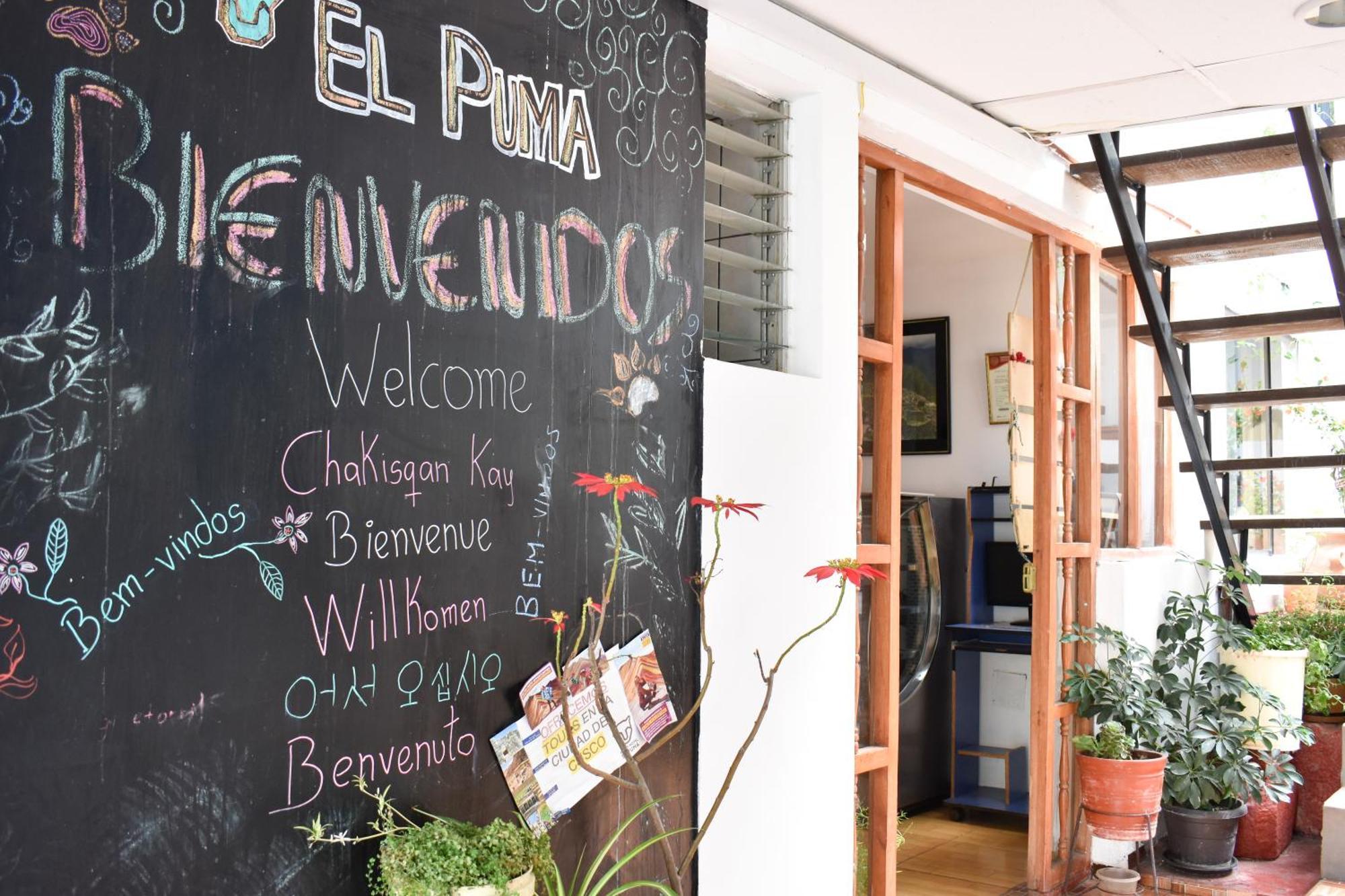 Hotel El Puma 2*